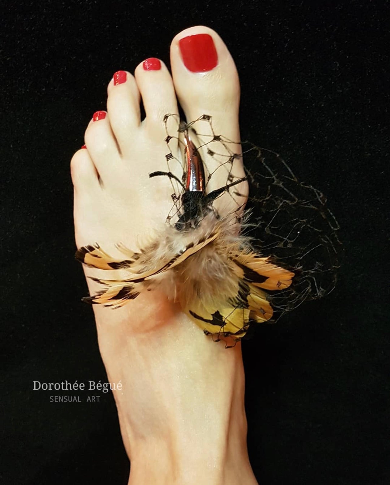 Oiseau de nuit