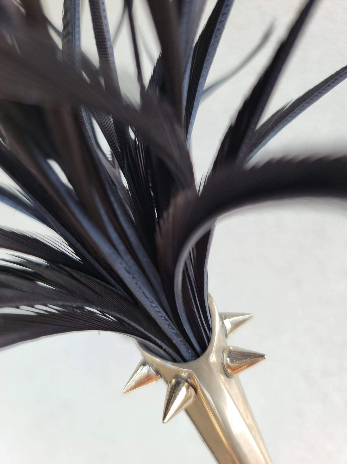 Black Bloom