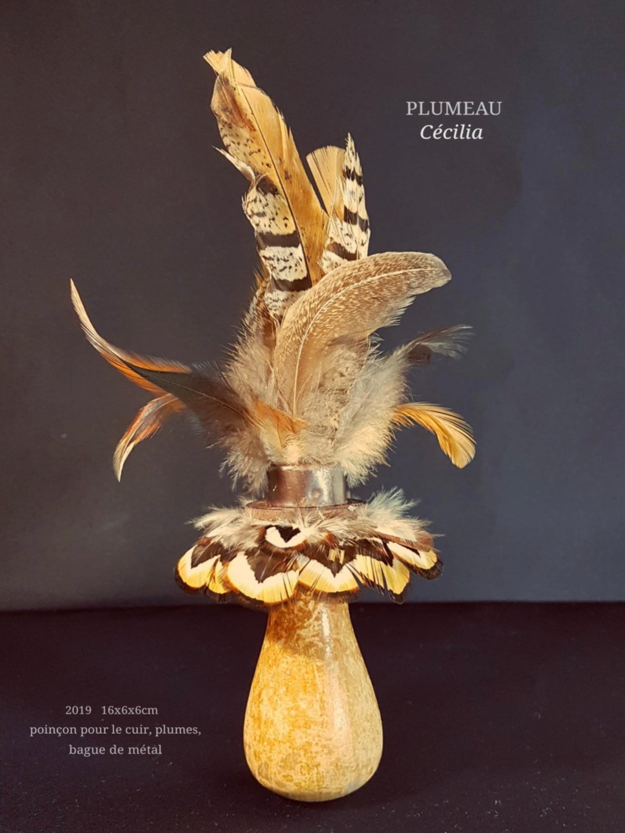 Cécilia